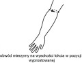 Opaska na łokieć Stabilizator [Rozmiar: S]
