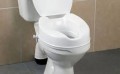 toilet.jpg